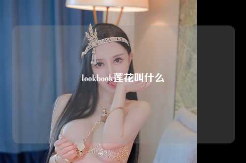 lookbook莲花叫什么