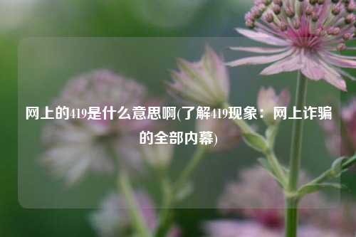 网上的419是什么意思啊(了解419现象：网上诈骗的全部内幕)