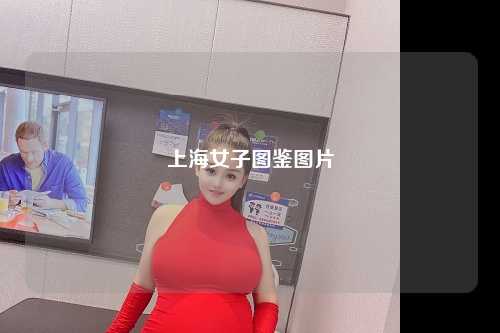 上海女子图鉴图片